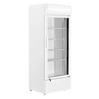 VISICOOLER ITALUX IRVFS395 370 LTROS F/SECO