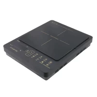 PLACA ELECTRICA HAUSTEC  HAANAFVI-IHSN VITROCERAMICA IB